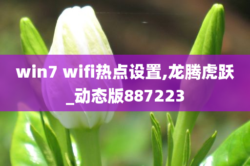 win7 wifi热点设置,龙腾虎跃_动态版887223