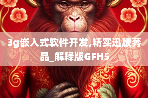 3g嵌入式软件开发,精实迅版莠品_解释版GFH5