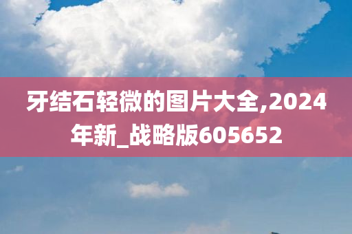 牙结石轻微的图片大全,2024年新_战略版605652