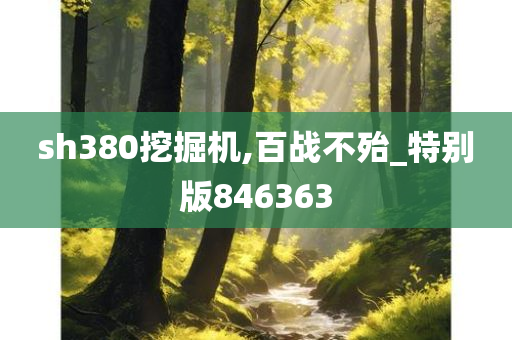 sh380挖掘机,百战不殆_特别版846363