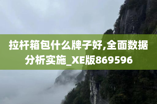 拉杆箱包什么牌子好,全面数据分析实施_XE版869596