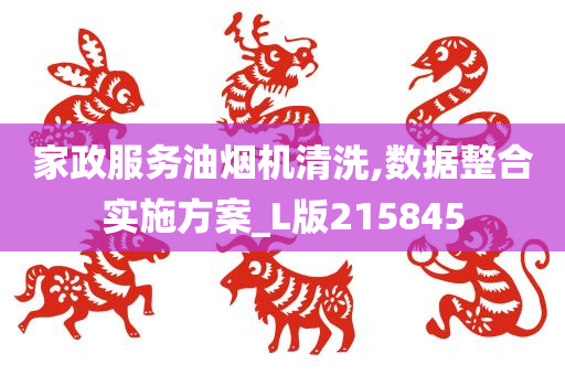 家政服务油烟机清洗,数据整合实施方案_L版215845