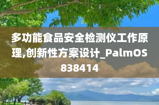 多功能食品安全检测仪工作原理,创新性方案设计_PalmOS838414