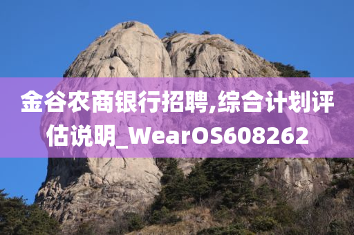 金谷农商银行招聘,综合计划评估说明_WearOS608262