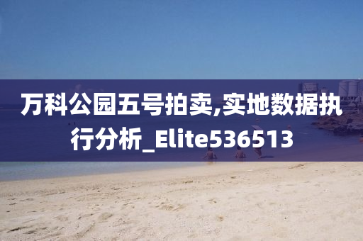 万科公园五号拍卖,实地数据执行分析_Elite536513