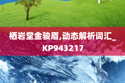 栖岩堂金骏眉,动态解析词汇_KP943217