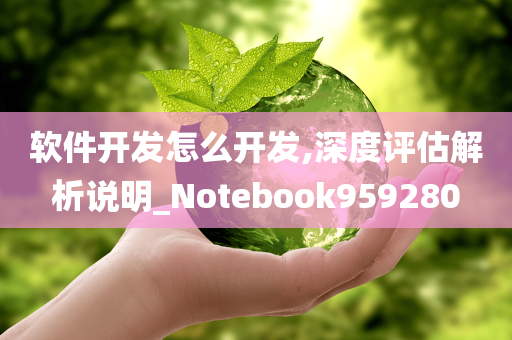 软件开发怎么开发,深度评估解析说明_Notebook959280