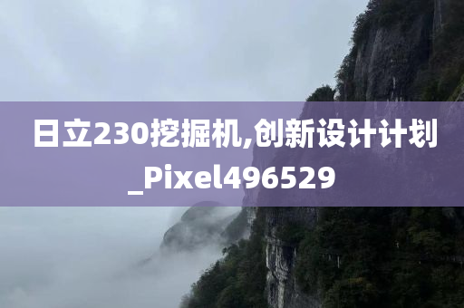 日立230挖掘机,创新设计计划_Pixel496529