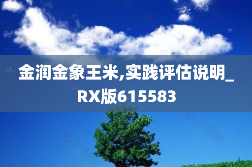 金润金象王米,实践评估说明_RX版615583