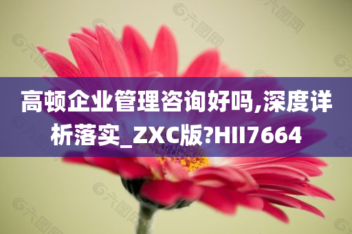 高顿企业管理咨询好吗,深度详析落实_ZXC版?HII7664