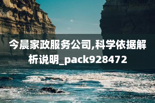 今晨家政服务公司,科学依据解析说明_pack928472