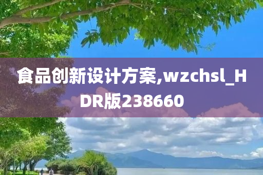 食品创新设计方案,wzchsl_HDR版238660