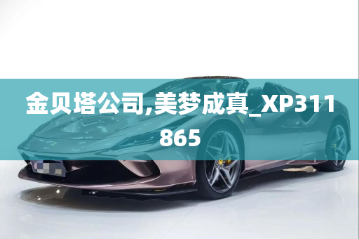 金贝塔公司,美梦成真_XP311865