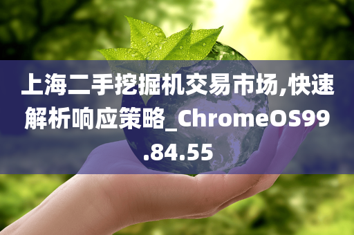 上海二手挖掘机交易市场,快速解析响应策略_ChromeOS99.84.55