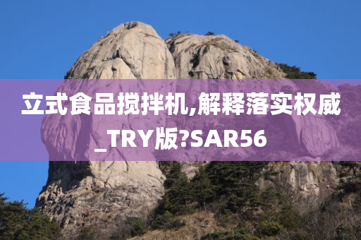 立式食品搅拌机,解释落实权威_TRY版?SAR56