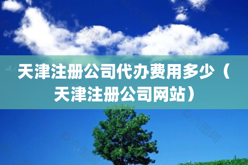 天津注册公司代办费用多少（天津注册公司网站）