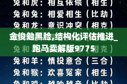 金俊勉黑脸,结构化评估推进_跑马卖解版9775