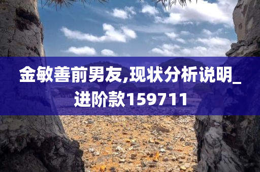 金敏善前男友,现状分析说明_进阶款159711