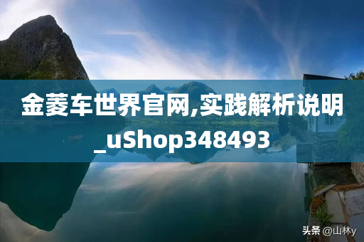 金菱车世界官网,实践解析说明_uShop348493