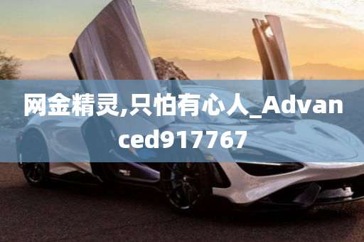 网金精灵,只怕有心人_Advanced917767