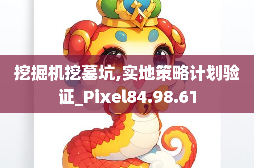 挖掘机挖墓坑,实地策略计划验证_Pixel84.98.61