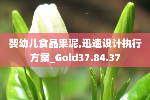 婴幼儿食品果泥,迅速设计执行方案_Gold37.84.37