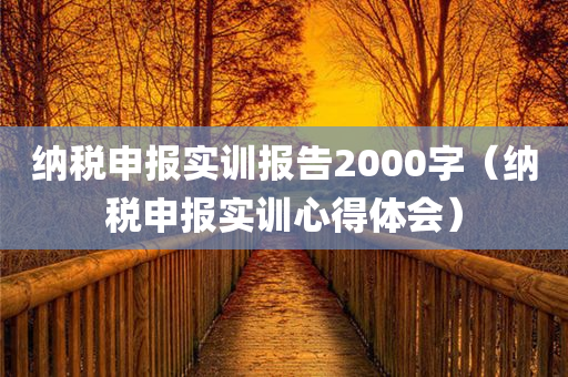 纳税申报实训报告2000字（纳税申报实训心得体会）