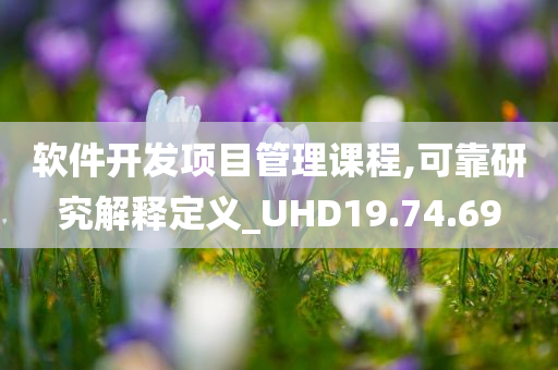 软件开发项目管理课程,可靠研究解释定义_UHD19.74.69