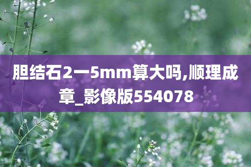 胆结石2一5mm算大吗,顺理成章_影像版554078