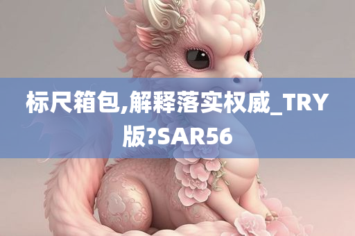 标尺箱包,解释落实权威_TRY版?SAR56