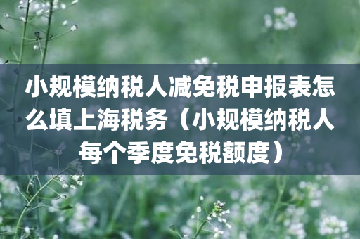 小规模纳税人减免税申报表怎么填上海税务（小规模纳税人每个季度免税额度）