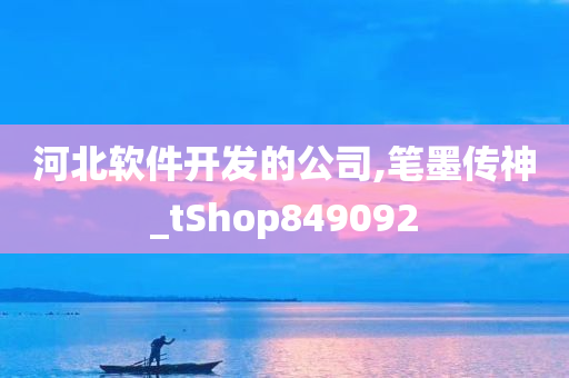 河北软件开发的公司,笔墨传神_tShop849092