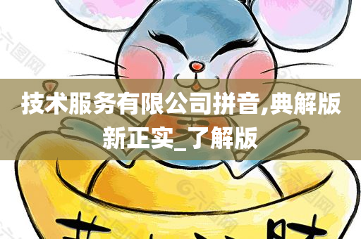 技术服务有限公司拼音,典解版新正实_了解版