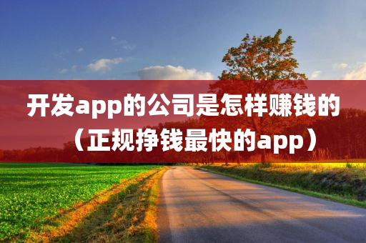 开发app的公司是怎样赚钱的（正规挣钱最快的app）