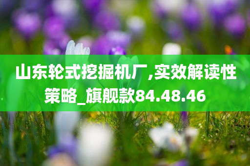 山东轮式挖掘机厂,实效解读性策略_旗舰款84.48.46