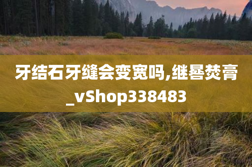 牙结石牙缝会变宽吗,继晷焚膏_vShop338483