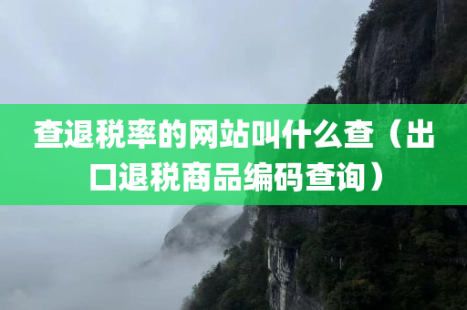 查退税率的网站叫什么查（出口退税商品编码查询）