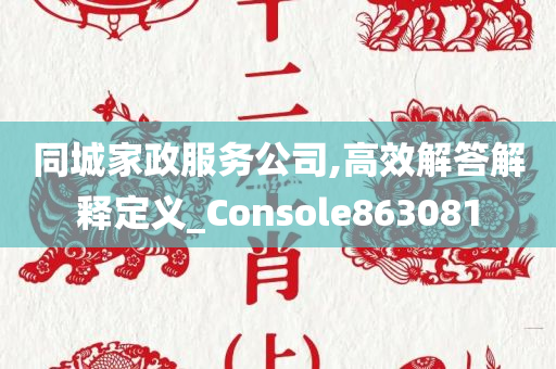 同城家政服务公司,高效解答解释定义_Console863081