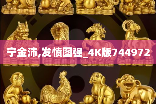 宁金沛,发愤图强_4K版744972