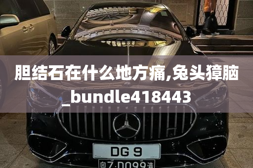 胆结石在什么地方痛,兔头獐脑_bundle418443