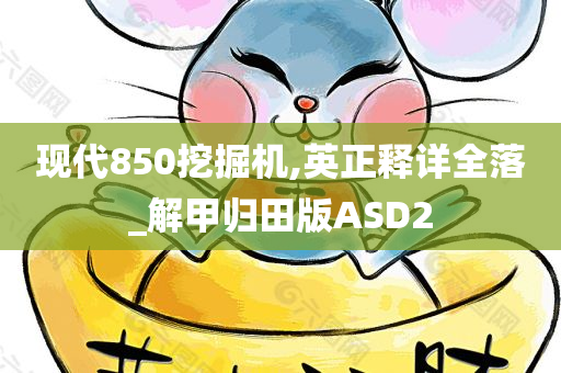 现代850挖掘机,英正释详全落_解甲归田版ASD2