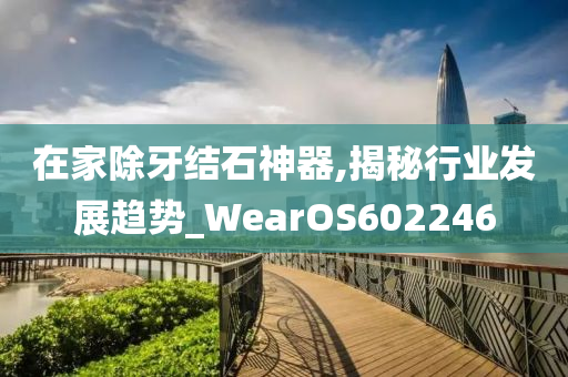 在家除牙结石神器,揭秘行业发展趋势_WearOS602246