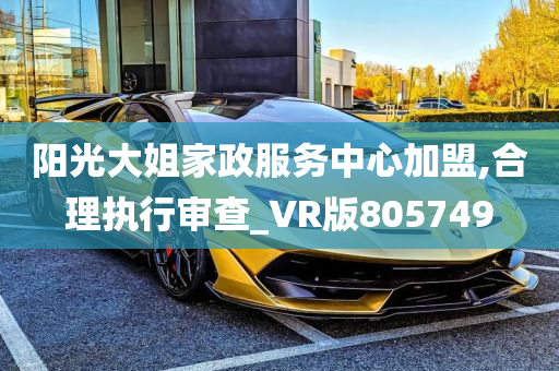 阳光大姐家政服务中心加盟,合理执行审查_VR版805749