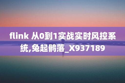 flink 从0到1实战实时风控系统,兔起鹘落_X937189