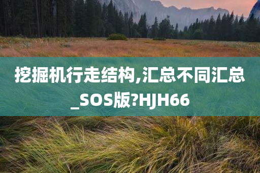 挖掘机行走结构,汇总不同汇总_SOS版?HJH66