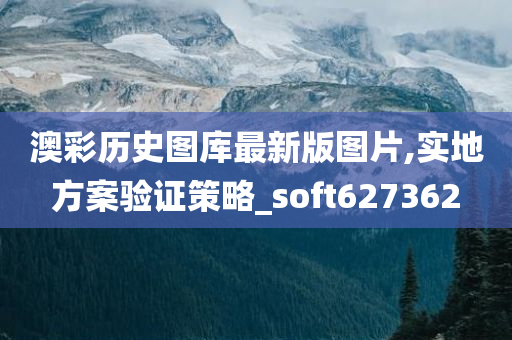 澳彩历史图库最新版图片,实地方案验证策略_soft627362