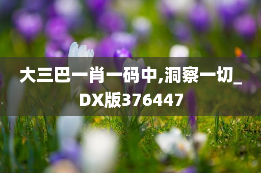 大三巴一肖一码中,洞察一切_DX版376447