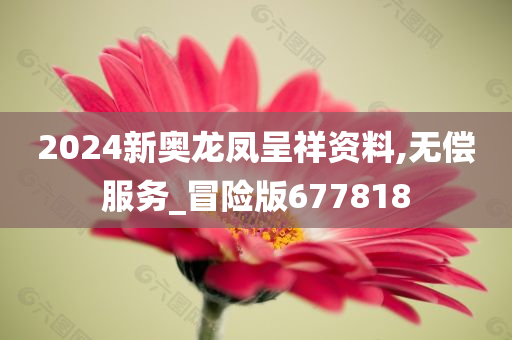 2024新奥龙凤呈祥资料,无偿服务_冒险版677818