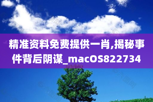 精准资料免费提供一肖,揭秘事件背后阴谋_macOS822734