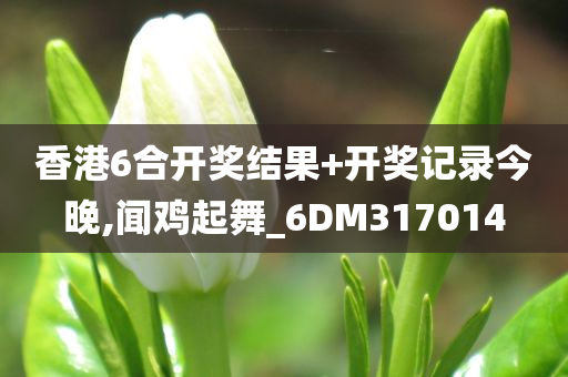 香港6合开奖结果+开奖记录今晚,闻鸡起舞_6DM317014